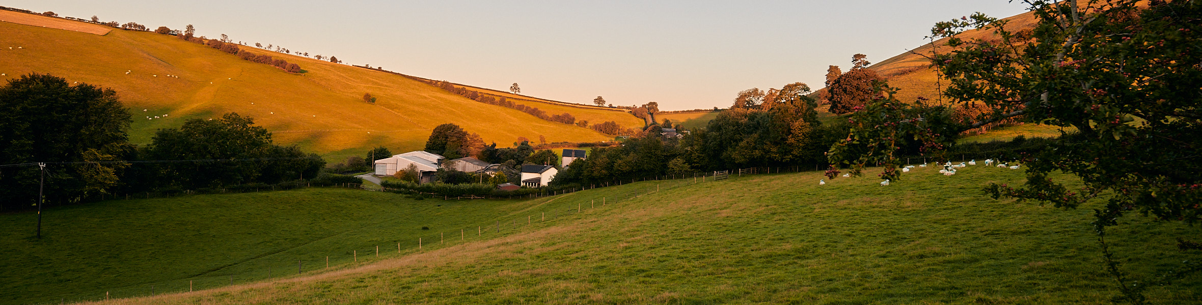 Sunrise on Black Hill Shropshire