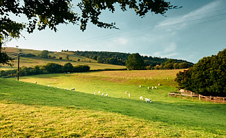 Relax on our Shropshire hill farm