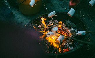 Firepit gastronomy!